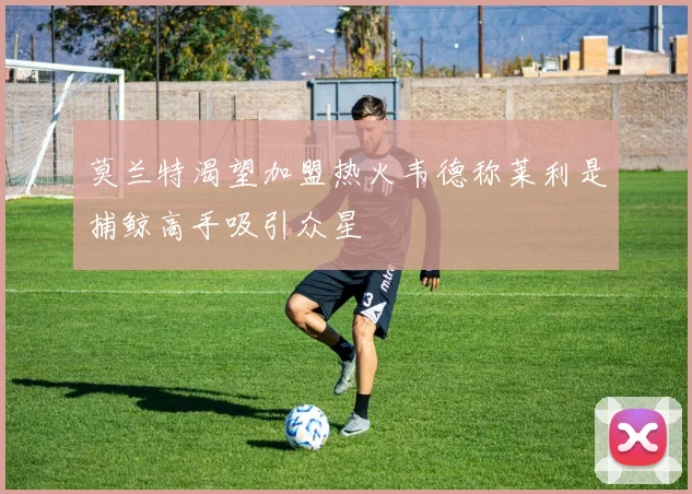 莫兰特渴望加盟热火韦德称莱利是捕鲸高手吸引众星