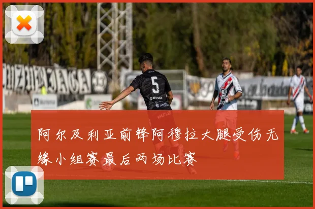 阿尔及利亚前锋阿穆拉大腿受伤无缘小组赛最后两场比赛