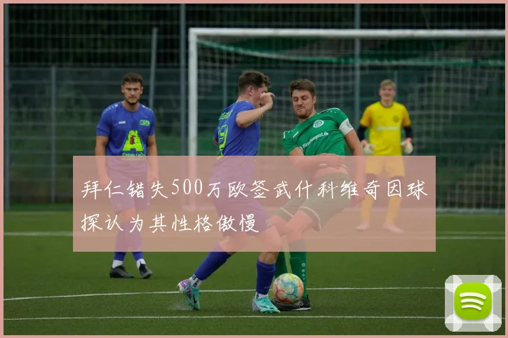 拜仁错失500万欧签武什科维奇因球探认为其性格傲慢