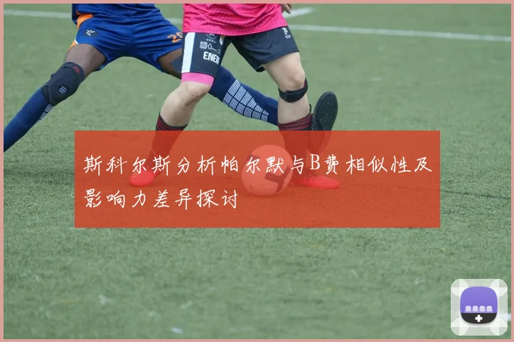 斯科尔斯分析帕尔默与B费相似性及影响力差异探讨