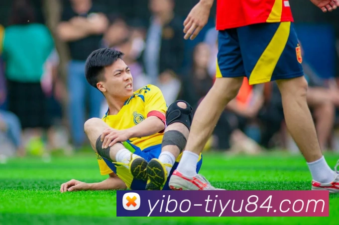 亿博体育APP 封面图